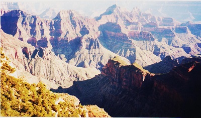 zion 009