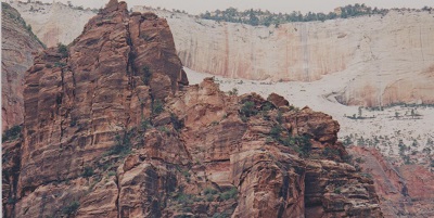 zion 010