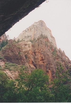 Zion 001