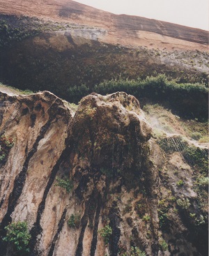 Zion 002