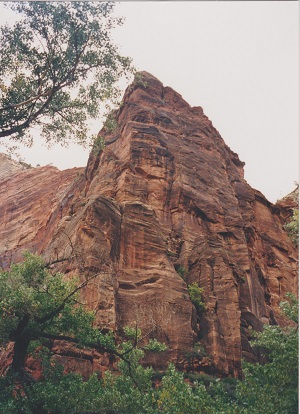 Zion 007