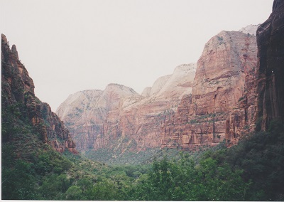 Zion 009