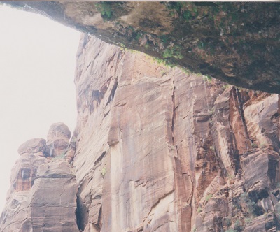 Zion 010