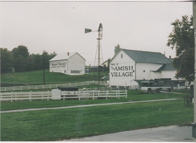 amis 005