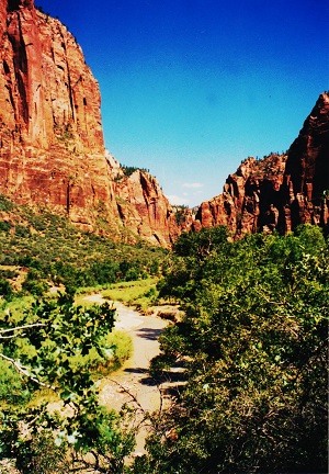 arizo 001