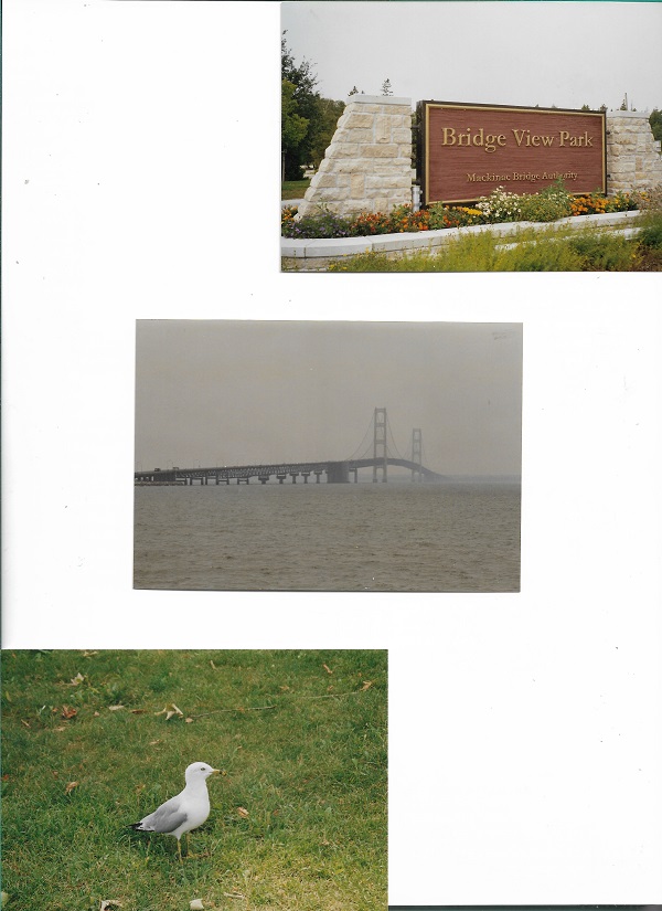 bridge 001