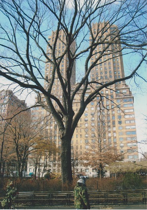 central 006