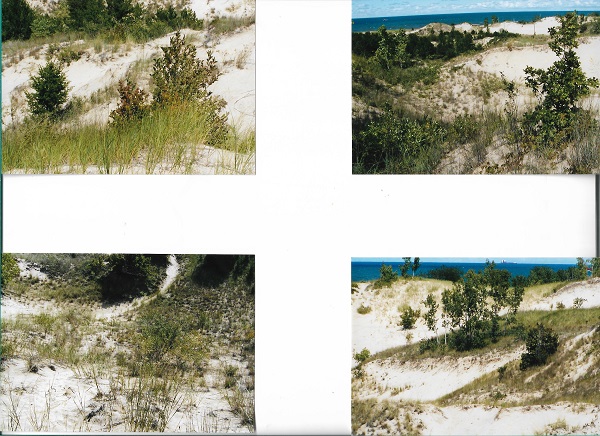 dunes 006