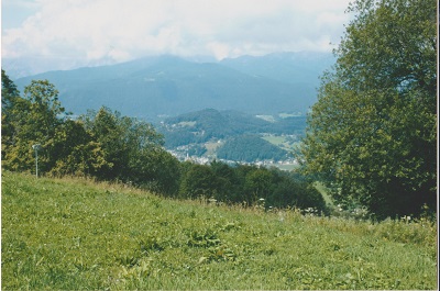 ober 006