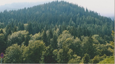 ober 007