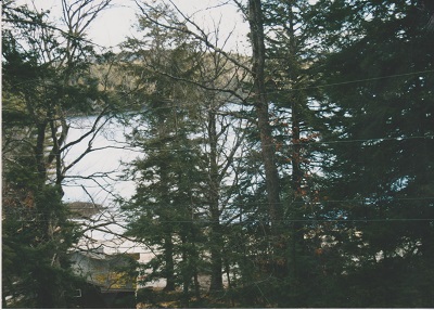 ober 008