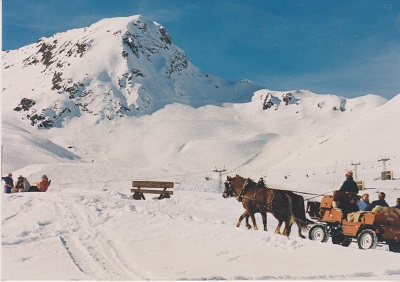 Alpenblick 003
