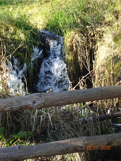 DSC00651