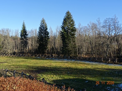 DSC00670