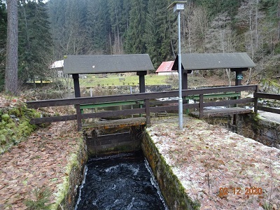 DSC00904