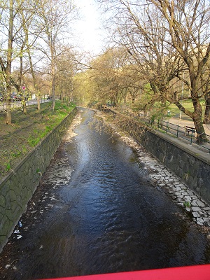DSC05705