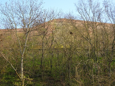 DSC05711