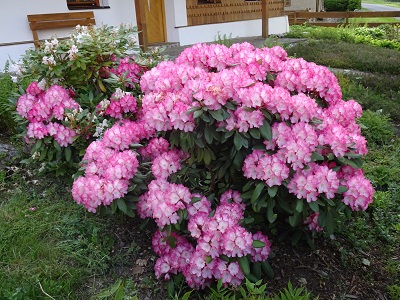 DSC01490