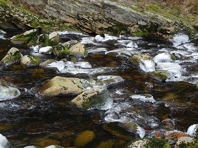 DSC00916