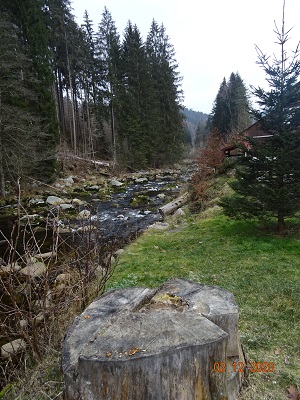 DSC00917