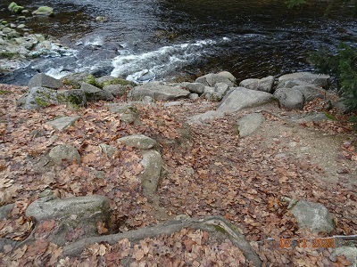 DSC00982