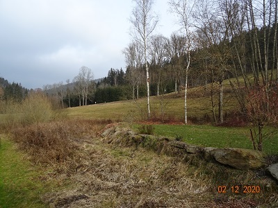 DSC01008