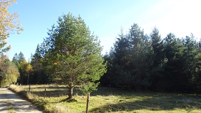 DSC08936