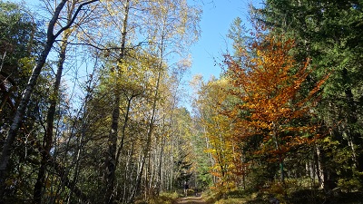 DSC08941
