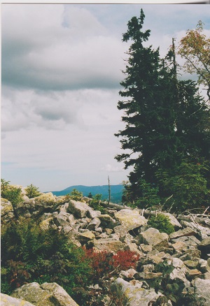 LUZNY 006