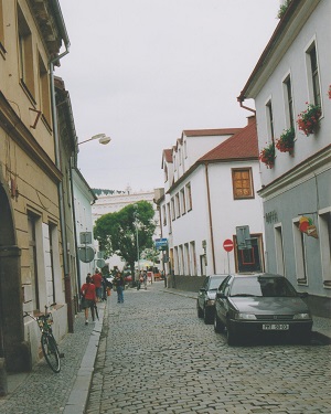 susice 012