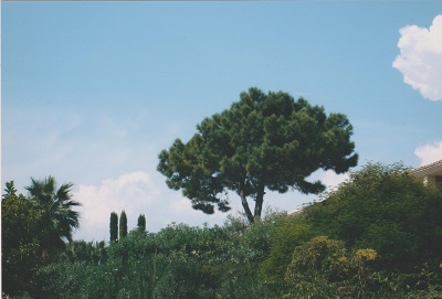 andalusie 010