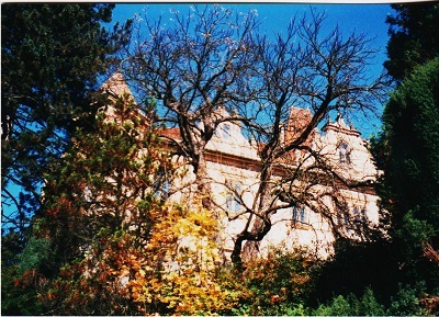 zinkovy 004