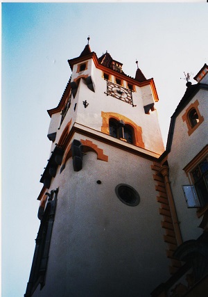 zinkovy 008