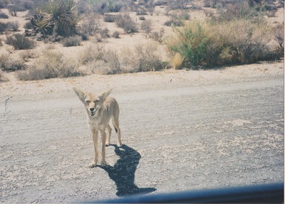 ARIZ 002