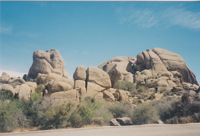 ARIZ 005