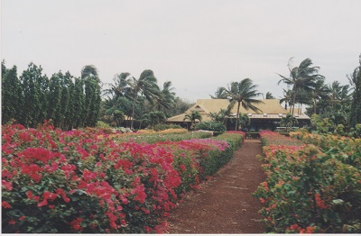 Havaj 2 003