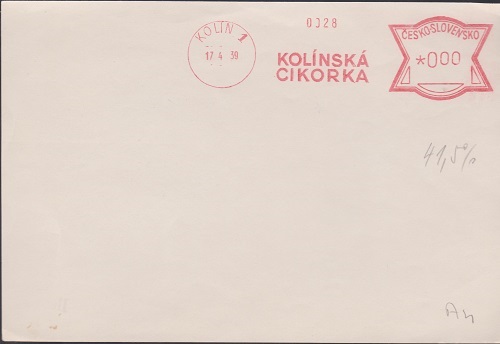 cikorka 001