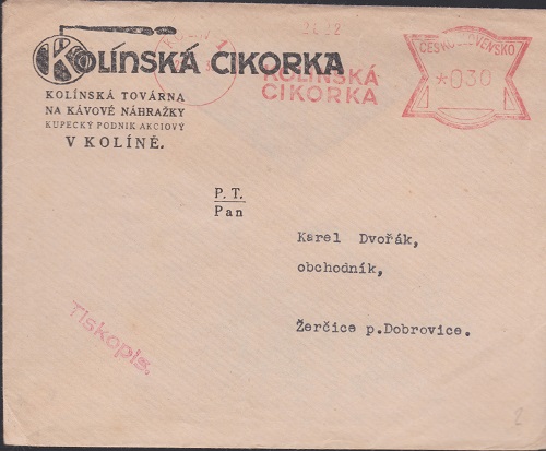 cikorka 002