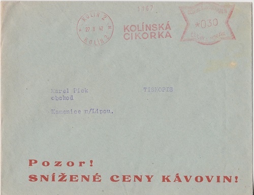 cikorka 004