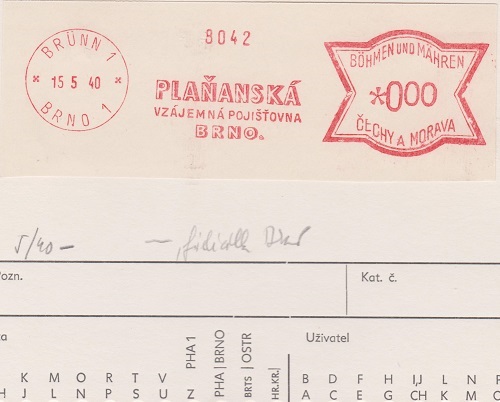 Planany 010