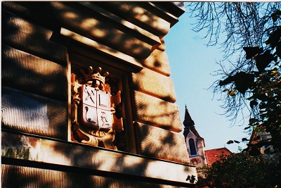 zinkovy 005