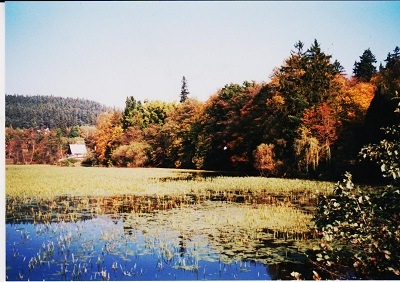 zinkovy 013