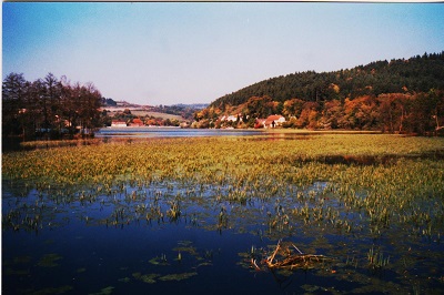 zinkovy 015