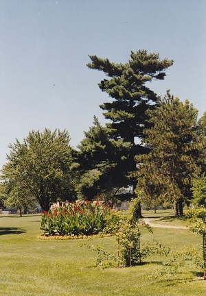IMG 20231106 0108