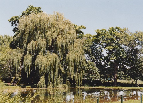 IMG 20231106 0110