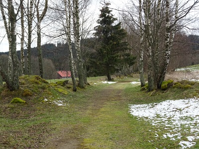 DSC04351